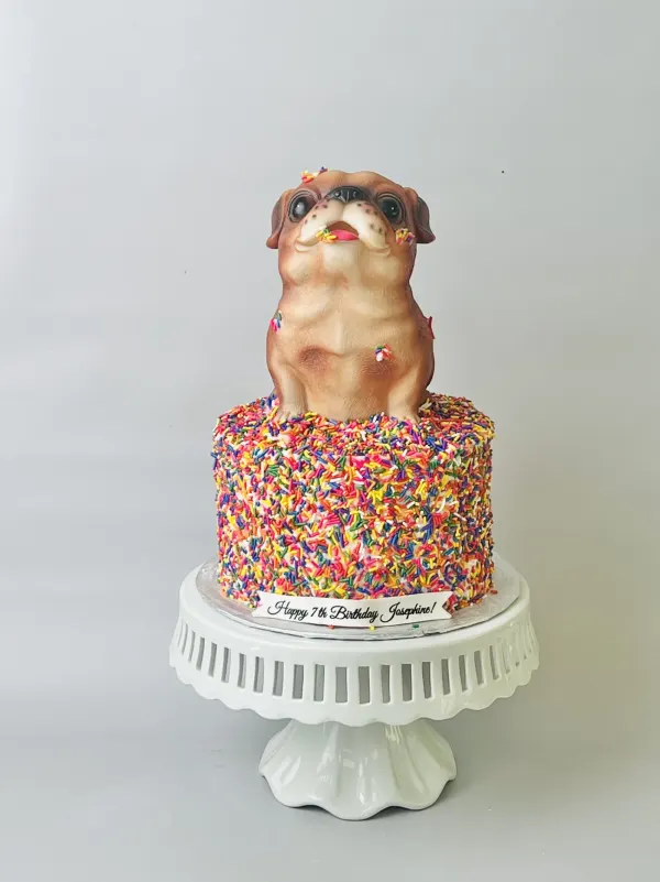 Rainbow sprinkle-covered cake topped with a pug figurine and a Happy 7th Birthday Josephine banner