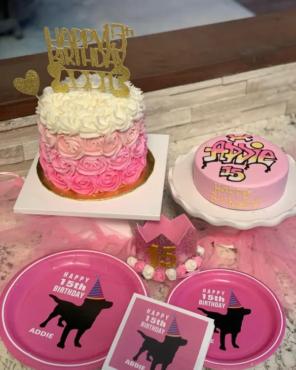 Pink ombre rosette cake with a gold 15 topper beside a graffiti-lettered Addie 15 pink cake