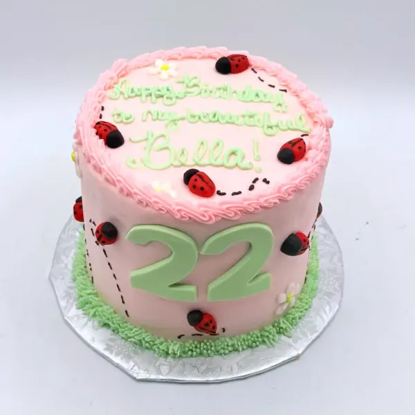 Pink cake with green piped lettering, small ladybugs and a green number 22