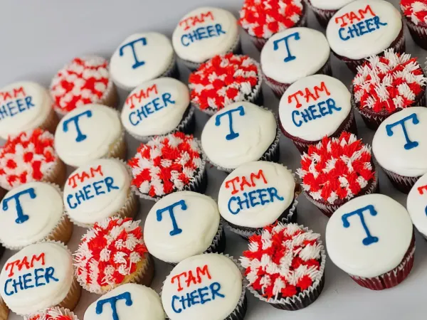 Cupcakes lettered TAM CHEER and T in blue with red and white piped pom-poms