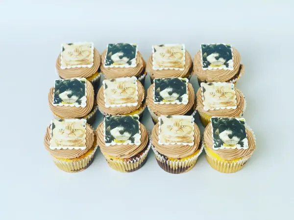 Chocolate buttercream cupcakes topped with square edible photo prints of a ginger cat and a black dog