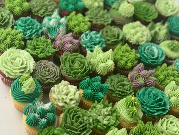 Close-up of cupcakes piped as green and teal buttercream succulents with a few in dusty purple