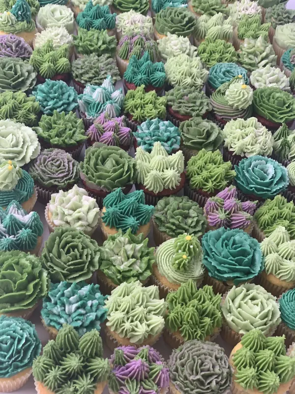 Overhead view of dozens of cupcakes piped as green, teal and lavender buttercream succulents