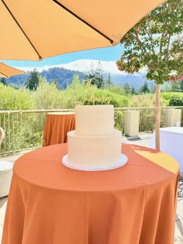 Nelly and Tim’s Wedding Cake 2025