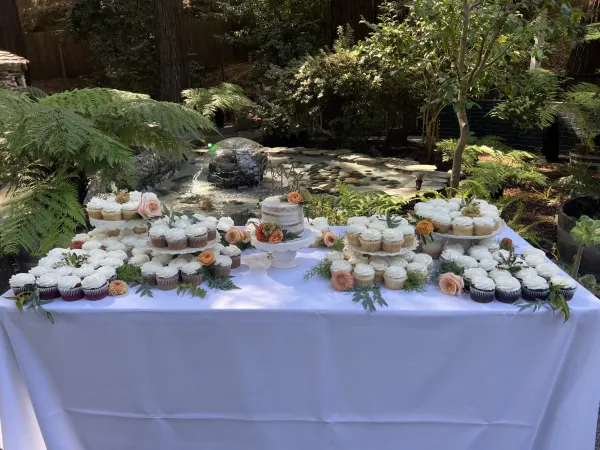 Emily Wedding Cake and Cupcakes 2022