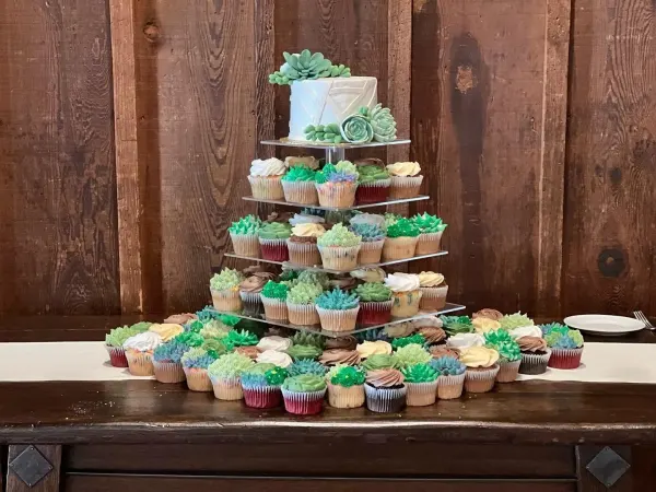 Matt and Grace Wedding Cake and Cupcakes 2022